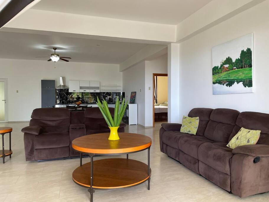 Spring Garden Mobay Resort Luxurious Apartments 몬테고 베이 외부 사진