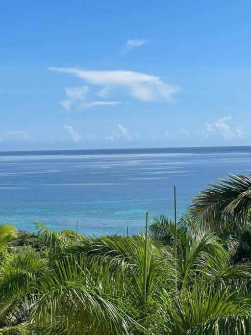 Spring Garden Mobay Resort Luxurious Apartments 몬테고 베이 외부 사진