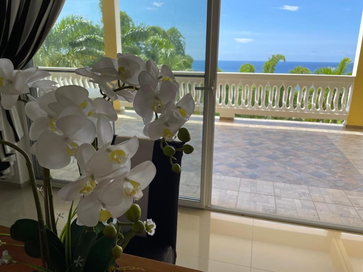 Spring Garden Mobay Resort Luxurious Apartments 몬테고 베이 외부 사진
